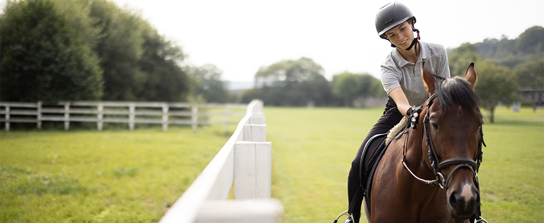 Reit- und Fahrverein Modautal